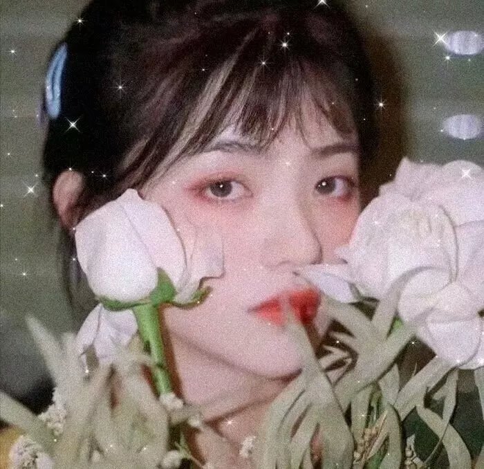 孔雀鱼